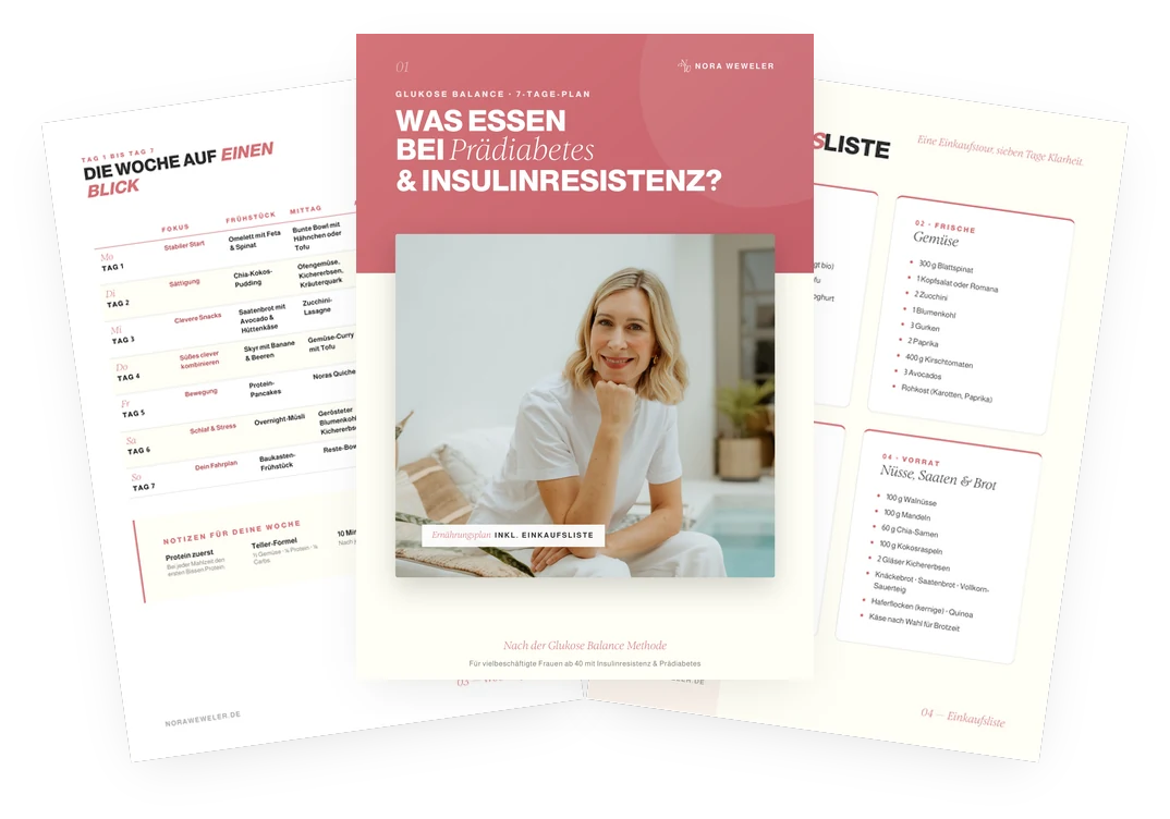 Ern&auml;hrungsplan bei Pr&auml;diabetes & Insulinresistenz &mdash; 9-seitiges PDF mit Wochenplan, Einkaufsliste und Rezepten